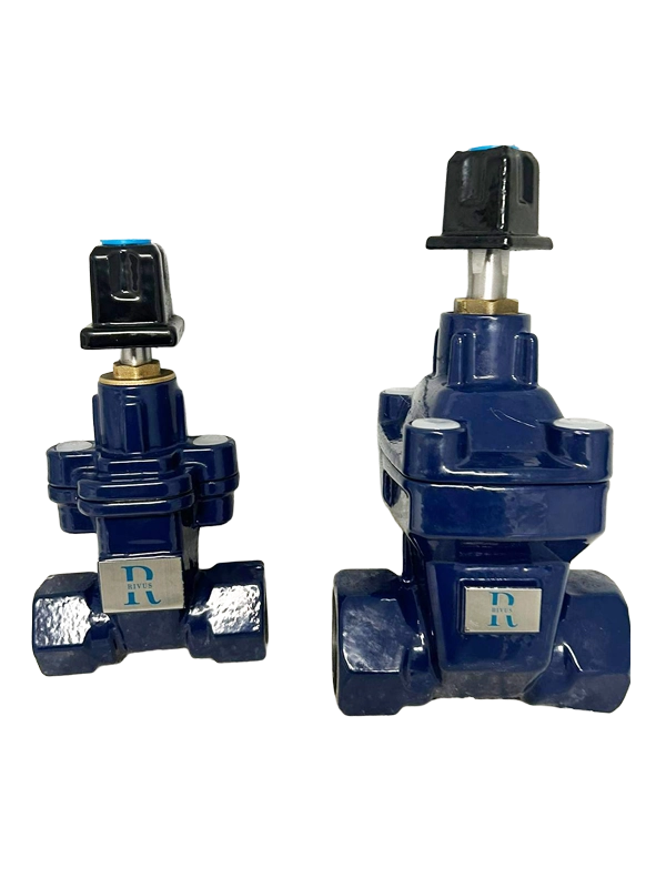 Service connection valve
